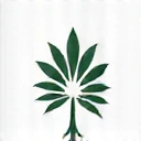 Icona Risultati Duraturi